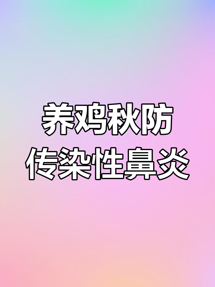 秋季养鸡常见传染性鼻炎,如何快速治疗不反复?