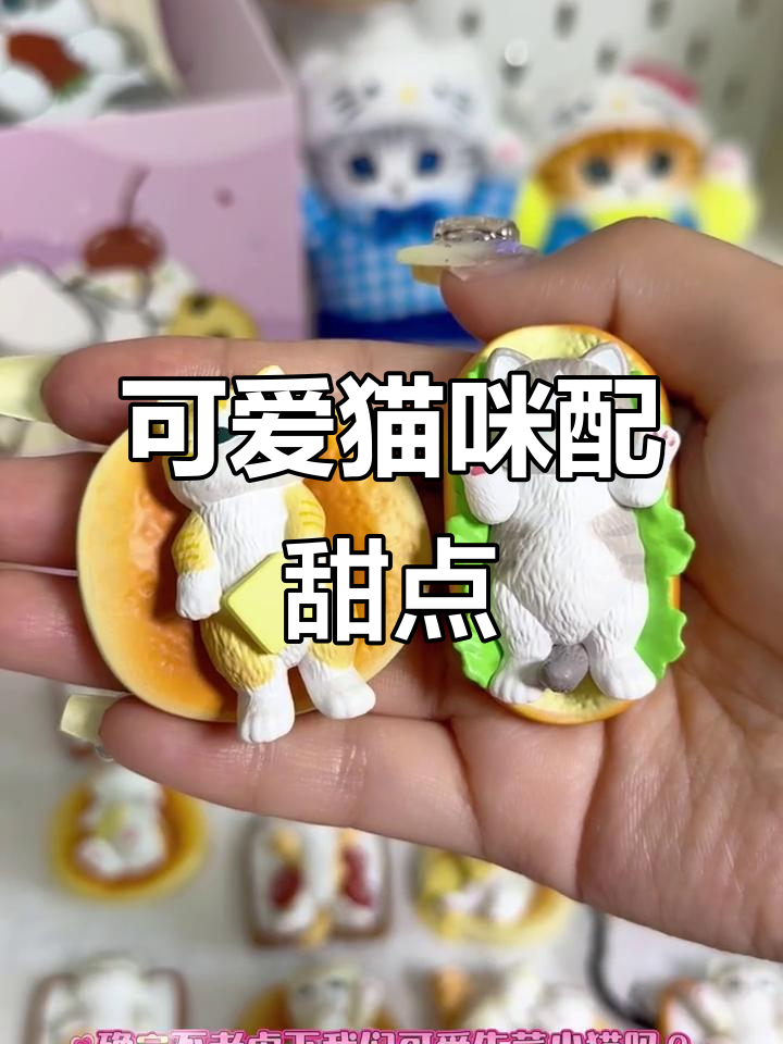 鲨鱼猫与碳水大作战,萌到不行!