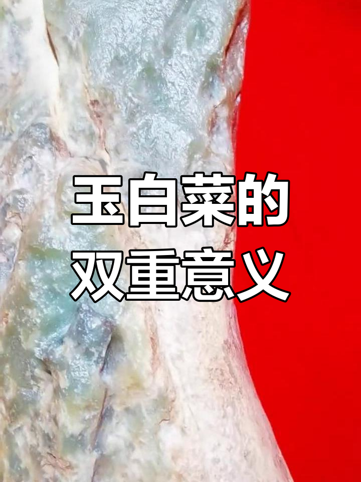 天津武清“玉白菜”的历史与价值