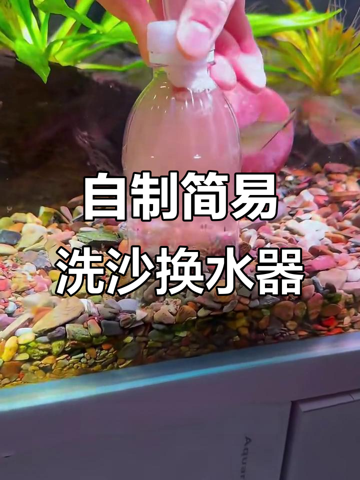 废瓶变洗砂换水器,轻松去除鱼粪杂质