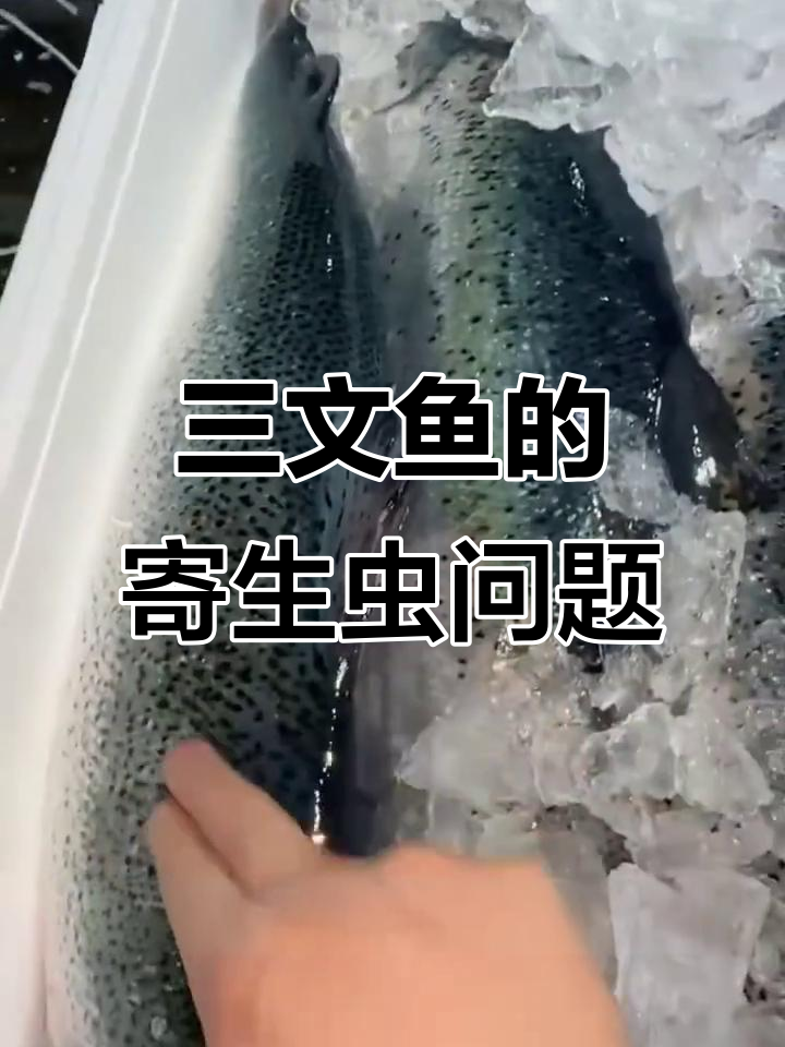 淡水鱼生有寄生虫?三文鱼为何能放心吃