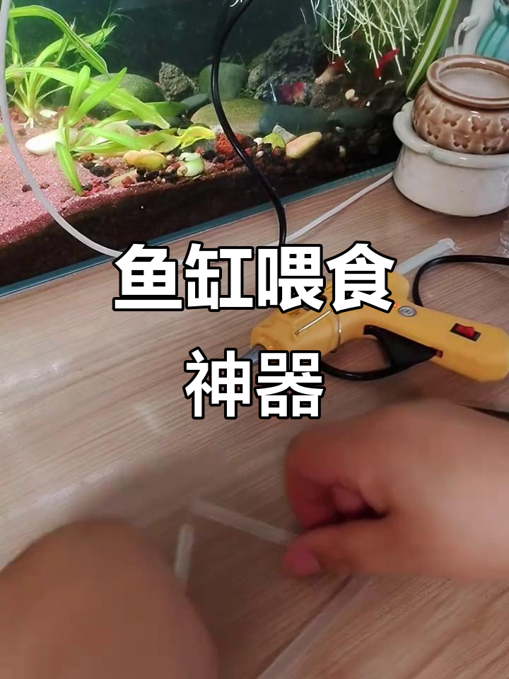 用吸管和热熔胶制作喂食器，轻松投喂鱼儿！