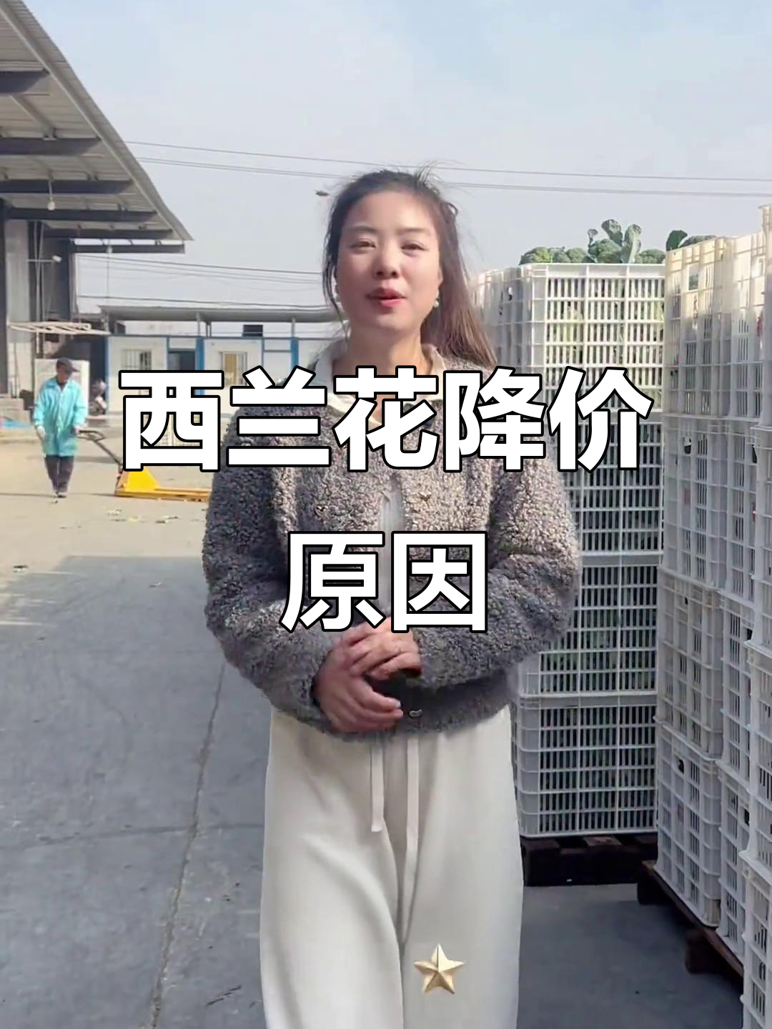 湖北西兰花价格下跌,丰收与货源增加是主要原因