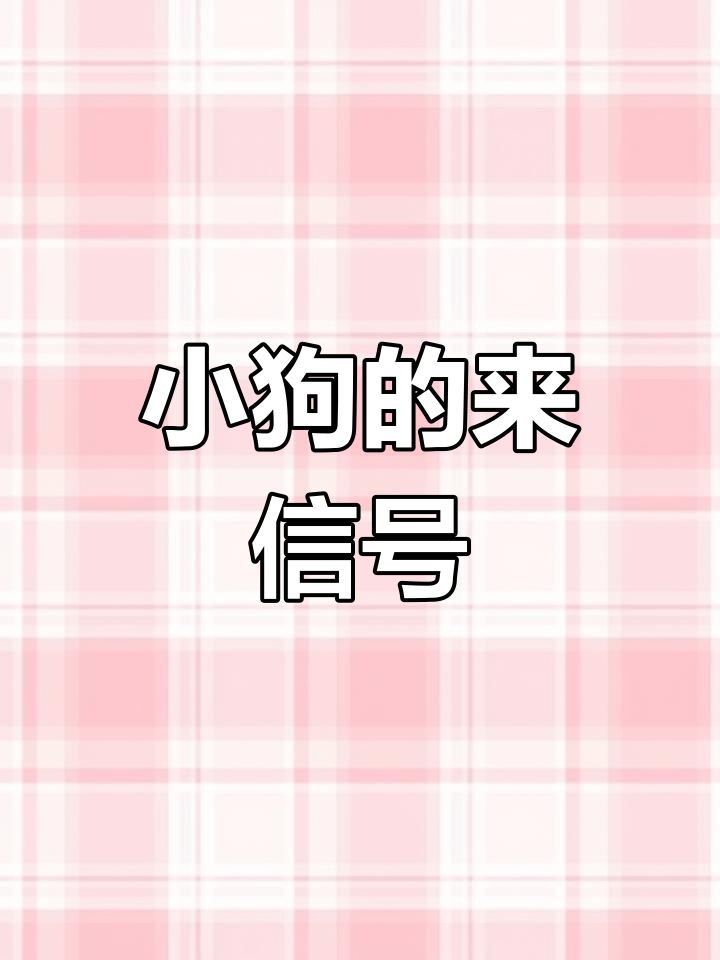 动物餐厅收到小狗来信