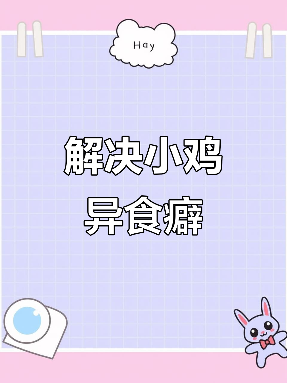 鸡啄毛、打架?可能是这些原因,解决方法大揭秘