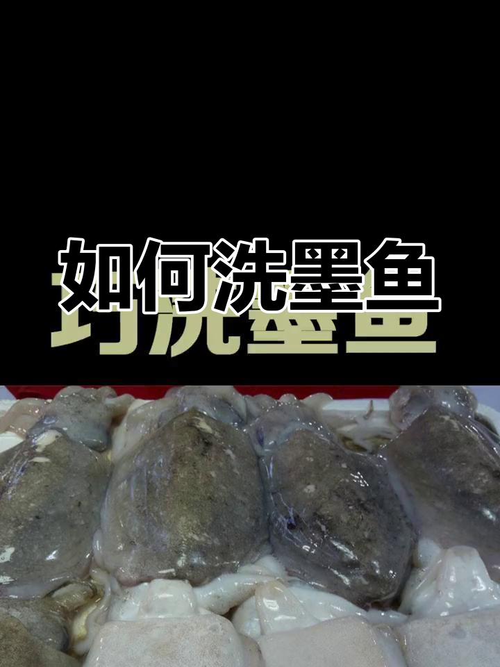 清洗墨鱼全攻略,轻松去除内脏和墨汁