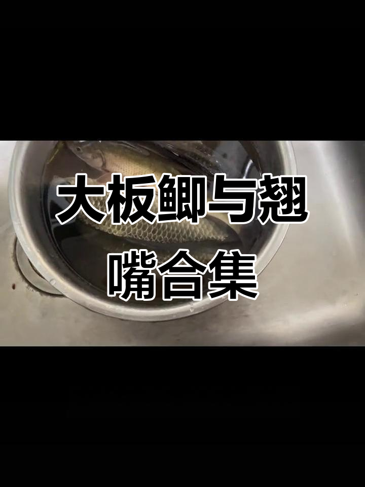 钓获大板鲫,翘嘴惊艳!这鱼货够吃一顿了吧