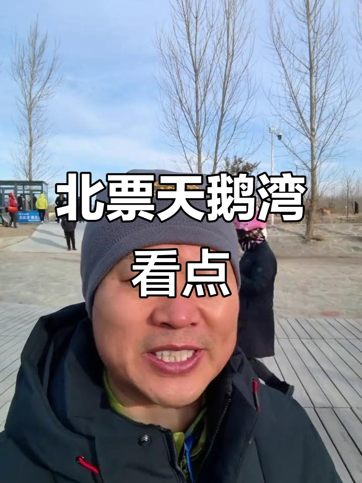 朝阳北票天鹅湾探秘:家鹅与天鹅的三大不同