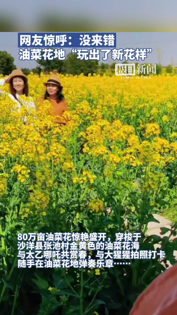 「视频」网友惊呼:没来错!油菜花地“玩出了新花样”