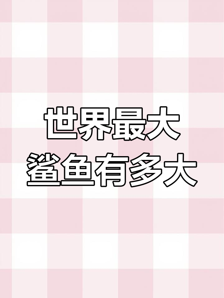 揭秘世界上最大鲨鱼的惊人尺寸,你能猜到吗?