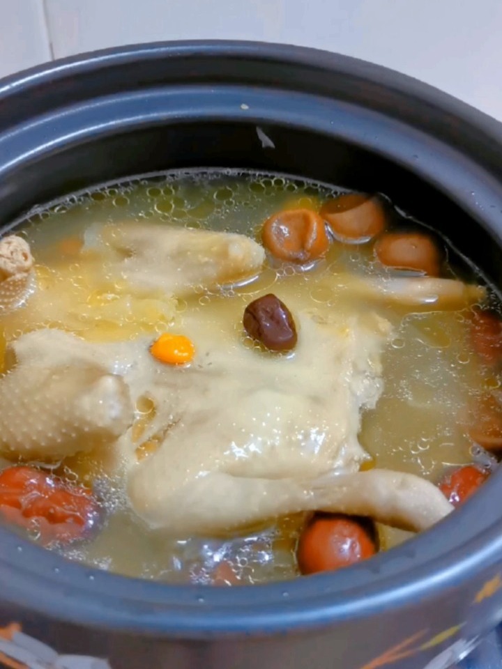 鸽子汤怎么炖才好喝又营养