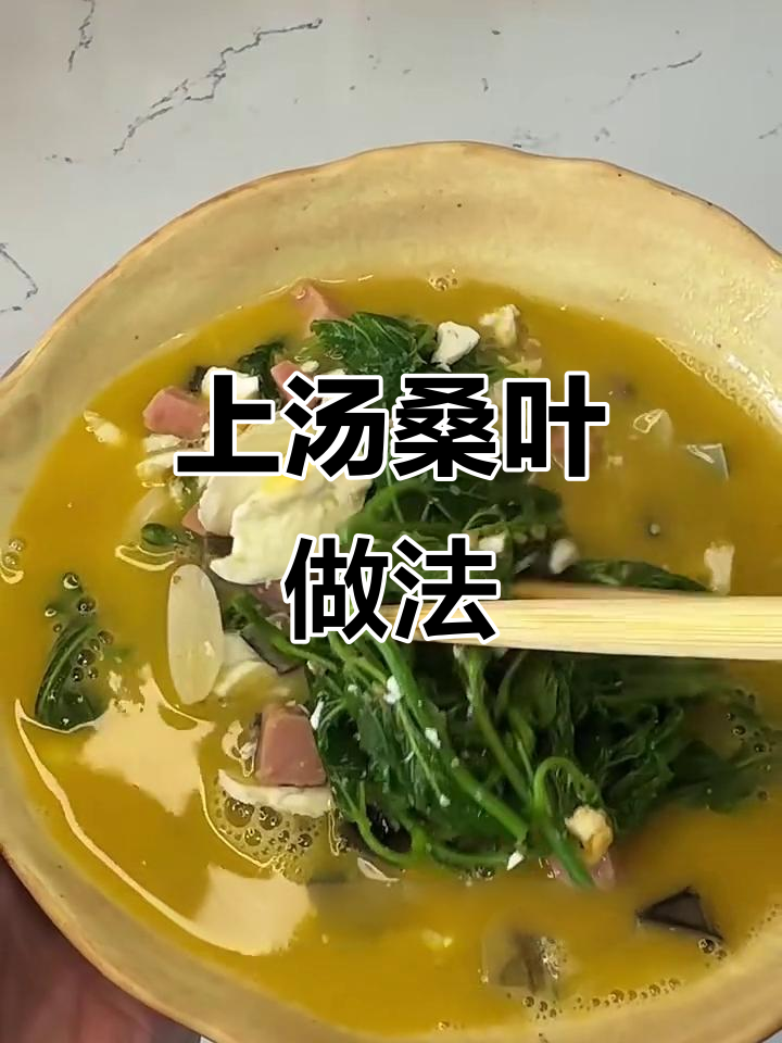 桑叶不止是蚕宝宝的食物,这道上汤桑叶你尝过吗?