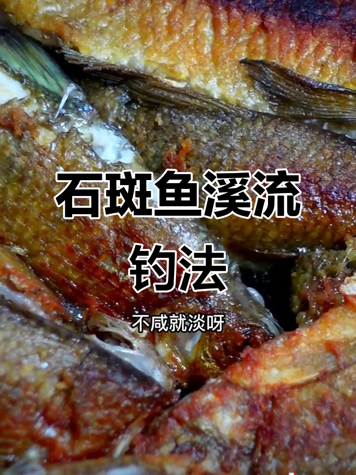 选对位置,轻松钓石斑鱼!掌握溪流钓鱼技巧