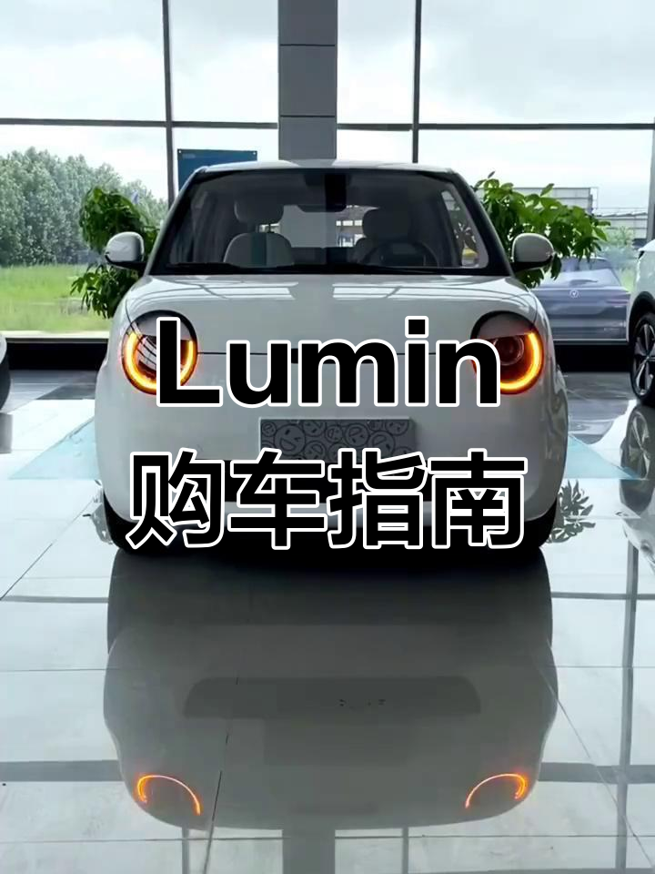 长安Lumin新能源电动车落地价与用车成本分析