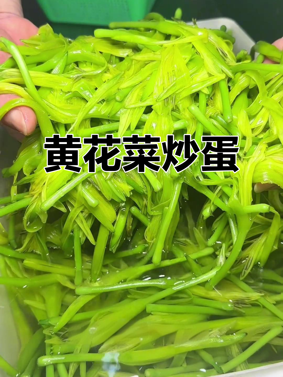 江西赣州黄花菜炒土鸡蛋,家常美味不容错过