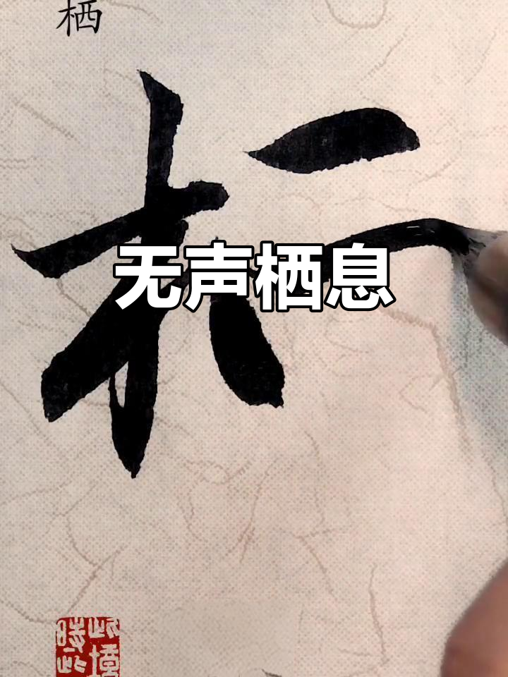 栖,无声的栖息地
