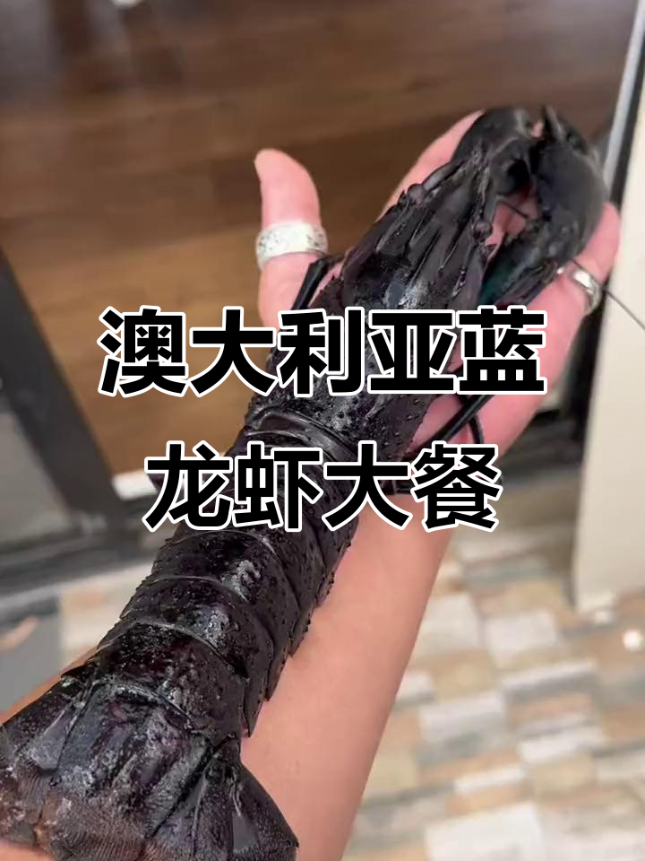 澳洲蓝色小龙虾来袭,今晚吃这个美味!