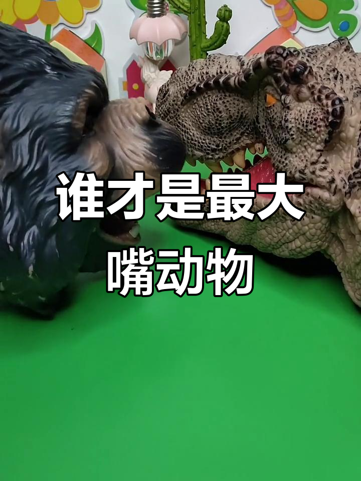 大猩猩的嘴巴到底有多大?和小花花、大鳄鱼比一比!