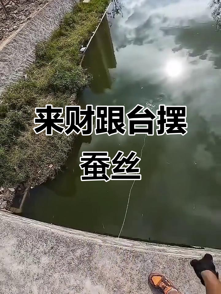 鱼镖射鱼,财运滚滚来!