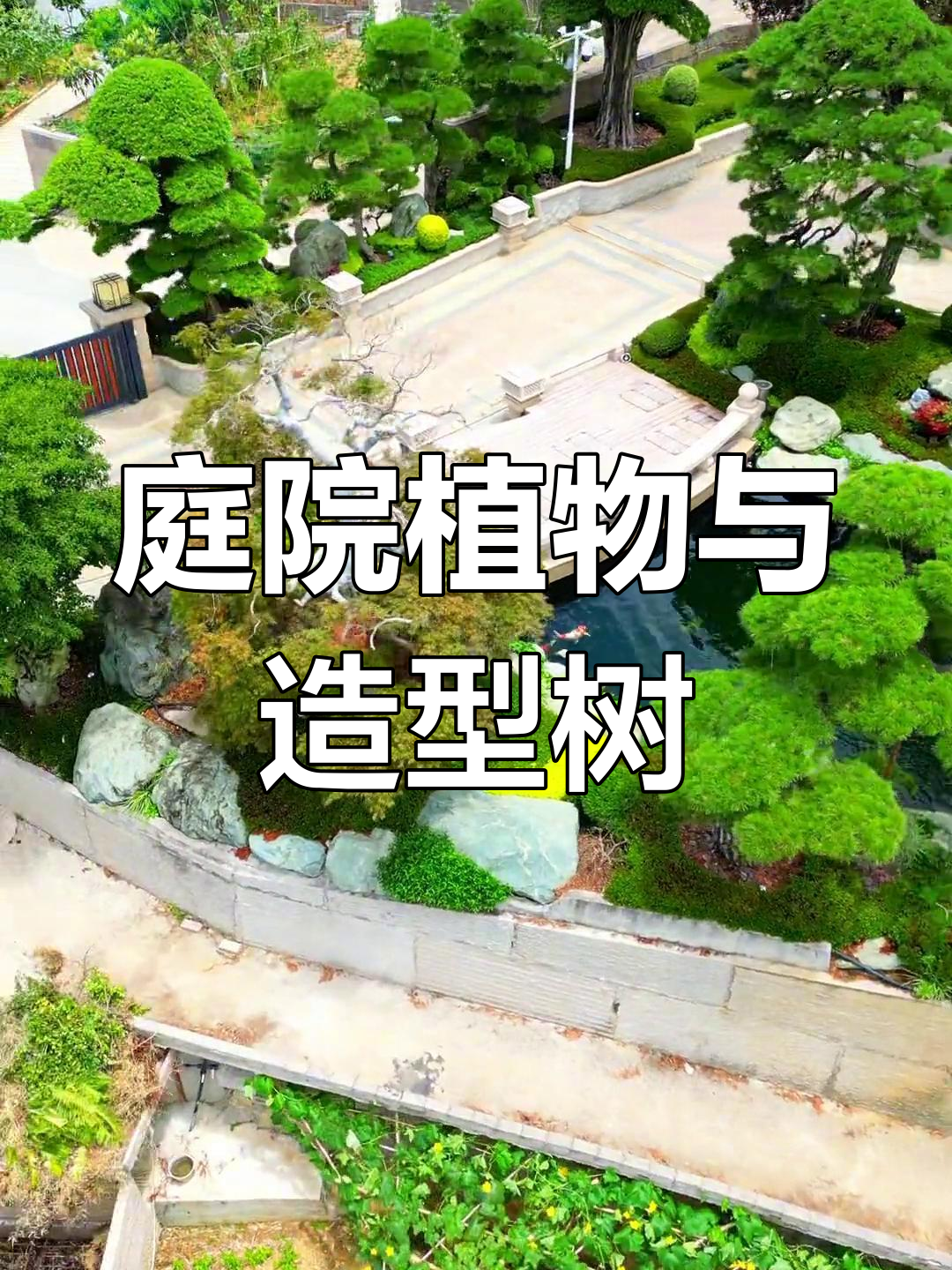别墅庭院绿化设计,罗汉松迎客松造型