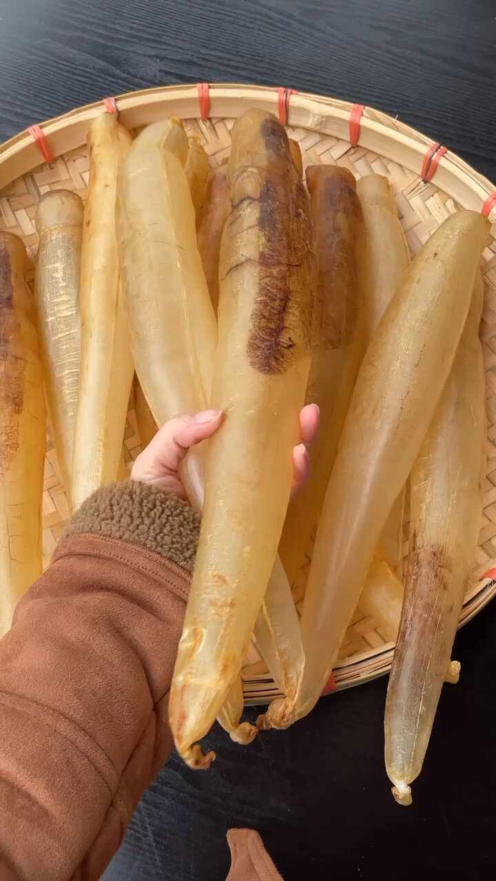 大块头金龙鱼胶
