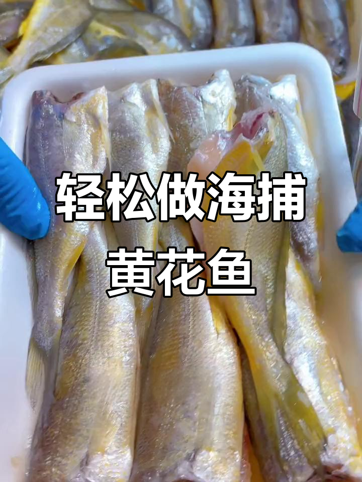 海捕小黄花鱼,去头内脏超省心,做法多样美味十足