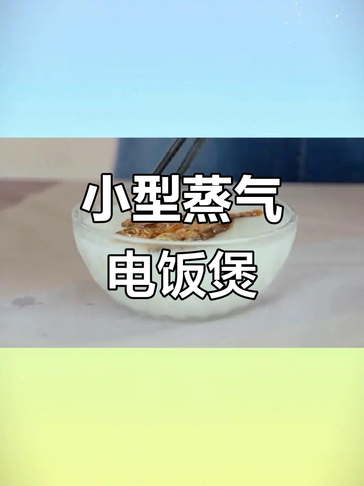 2-3人家庭必备,蒸汽电饭煲煮米饭超香!