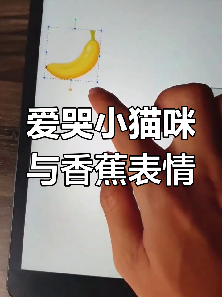 两个表情包融合,竟变出香蕉猫