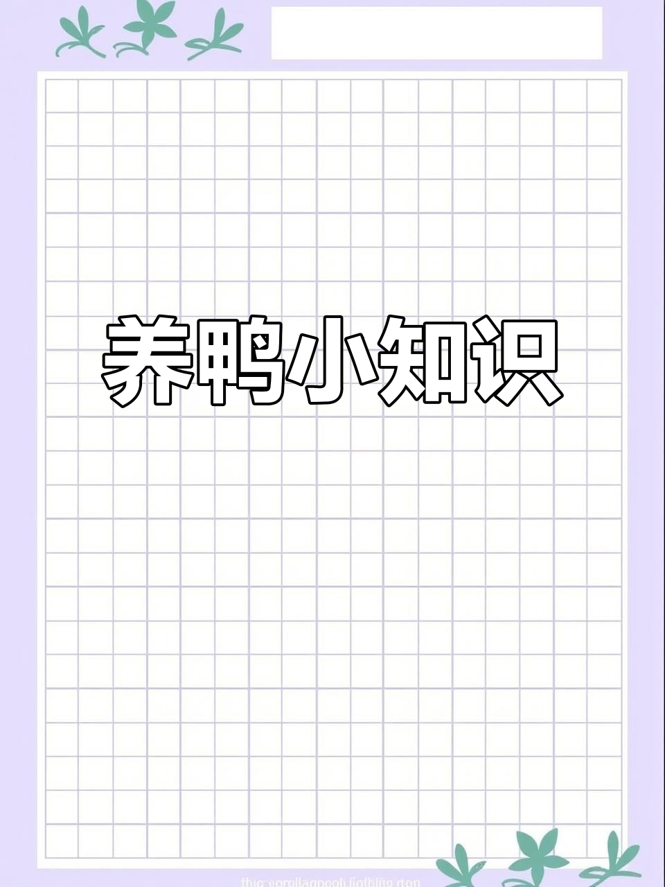 绿头鸭与麻鸭养殖技巧,养鸭人必看