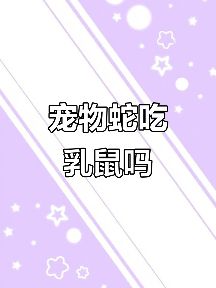 宠物蛇吃什么?玉米蛇的饮食全解析