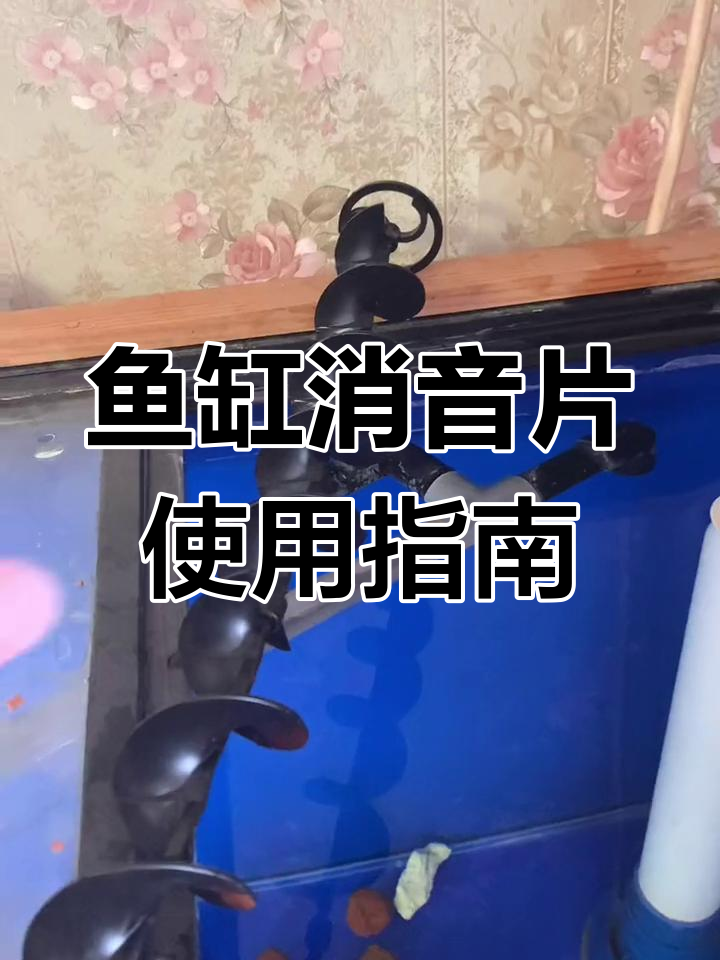 鱼缸消音片安装教程与选尺技巧