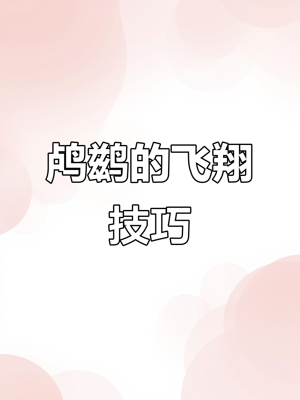 鸬鹚鱼鹰的日常飞行,竟然能飞出这么远!