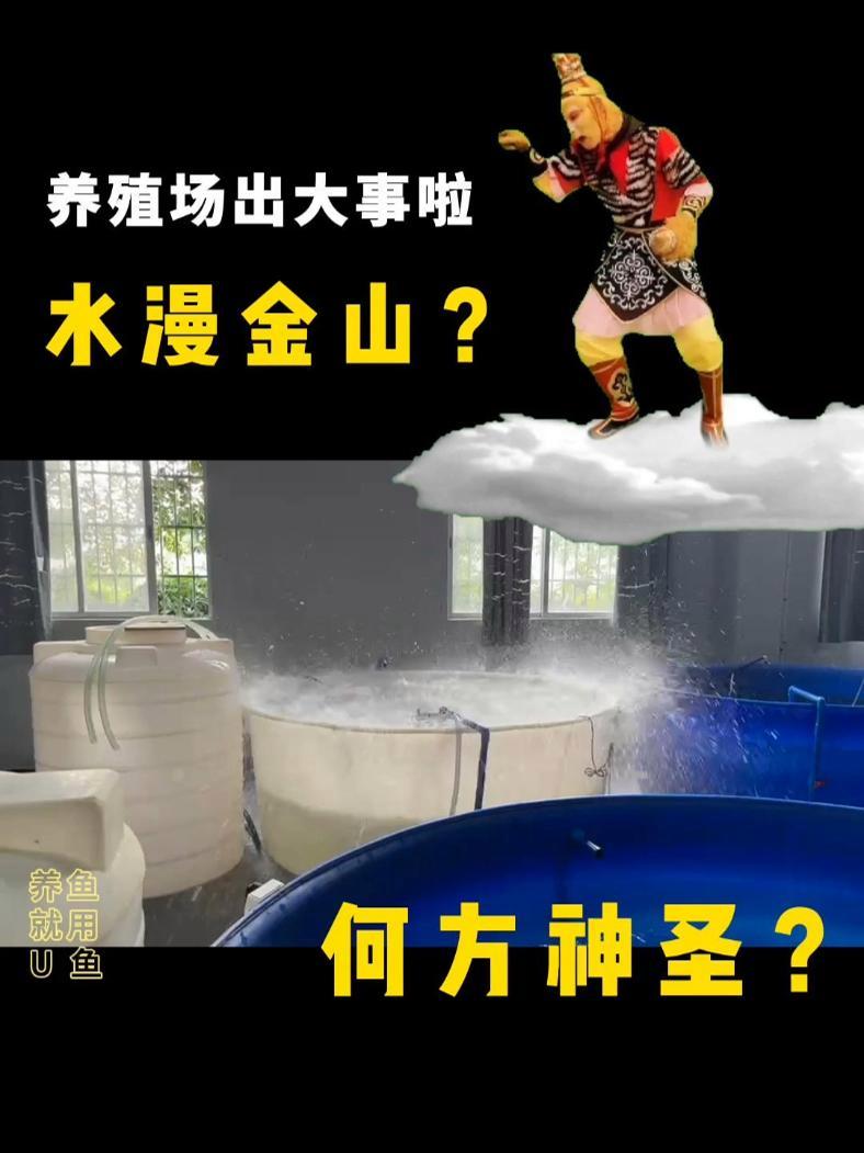增氧机水花到底有多大?优鱼养殖测试区出大事啦!优鱼智能变频增氧机,水花厚,效率高,手机远程