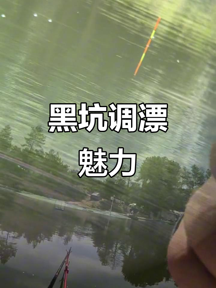 黑坑青鱼调漂技巧大揭秘,如何避免无铅跑铅的困扰