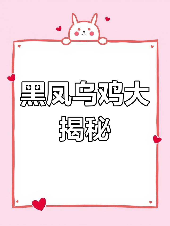 彝山黑凤乌鸡:大型品种揭秘