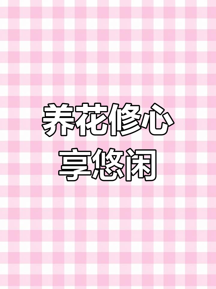 享受养花时光,多肉植物带来的宁静与乐趣