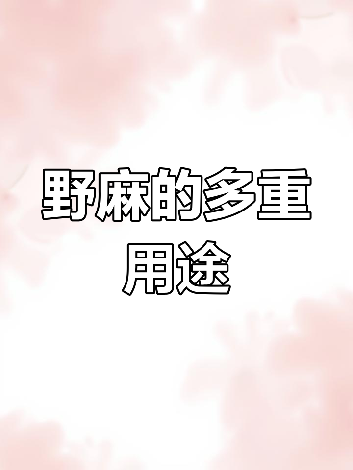 野麻的神奇作用:从喂猪到制作麻线,根茎大有用处