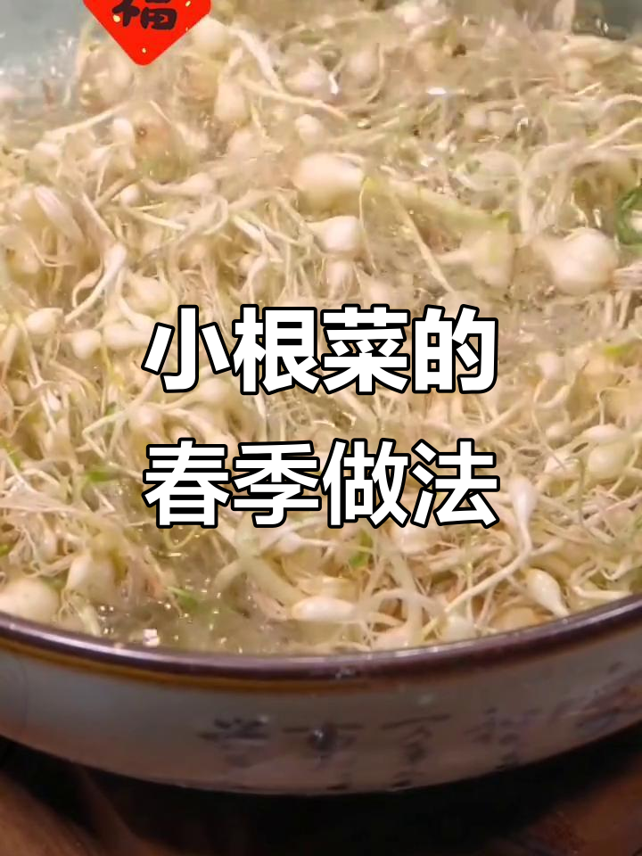 春天必吃小根菜,教你做东北风味美食