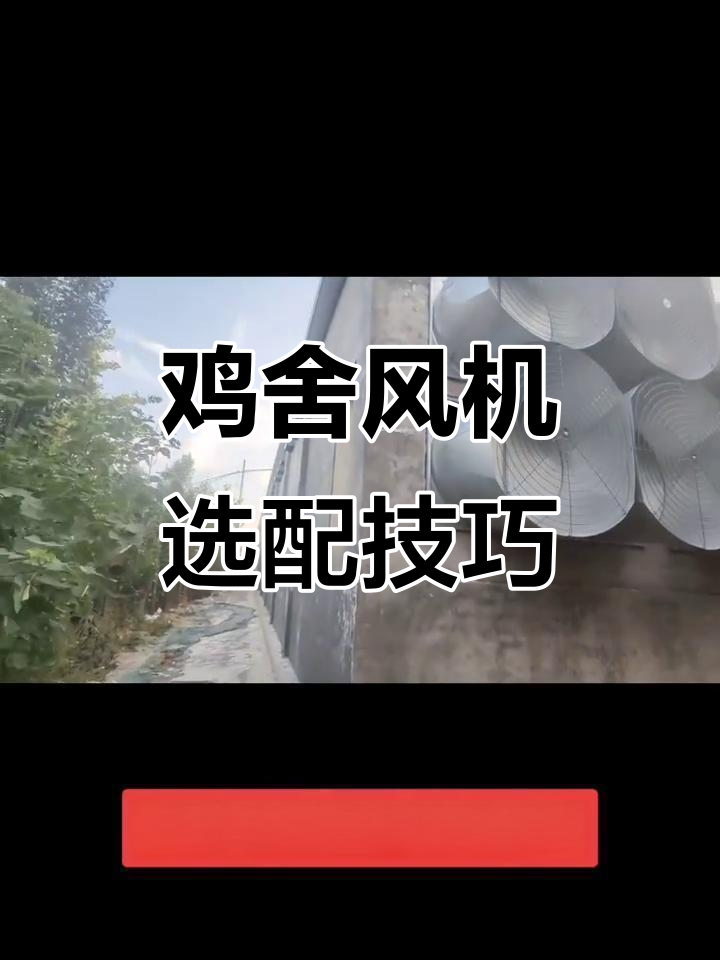 鸡舍风机配置计算:如何根据最大通风量选择合适数量