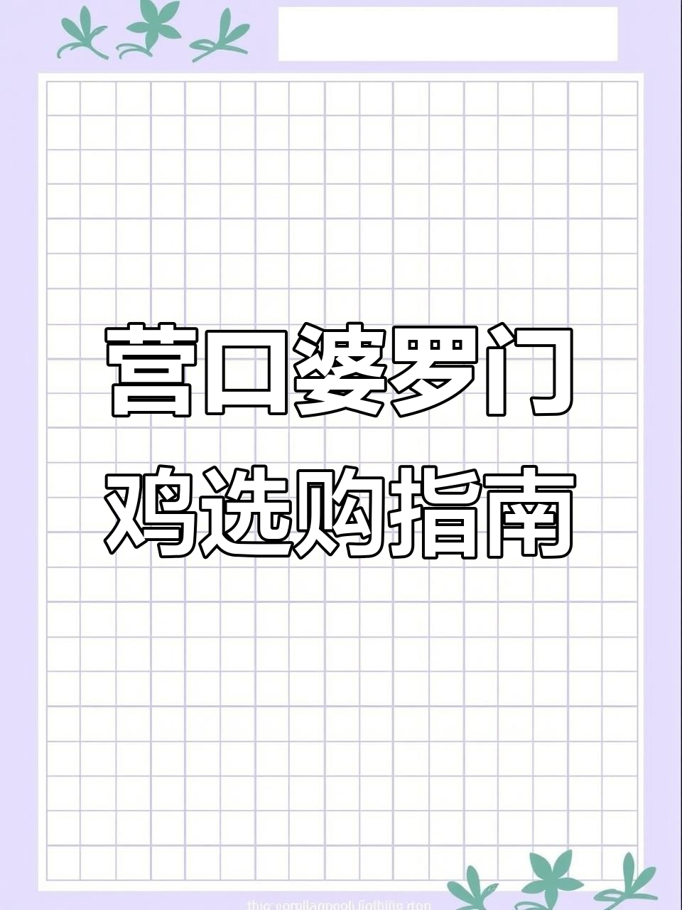 营口市观赏鸡品种大揭秘,哪种婆罗门最值得入手?