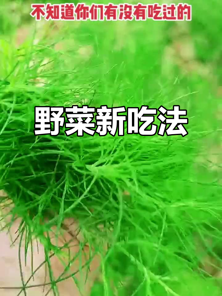 野菜凉拌,花生碎与香油增添独特风味,简直停不下来!