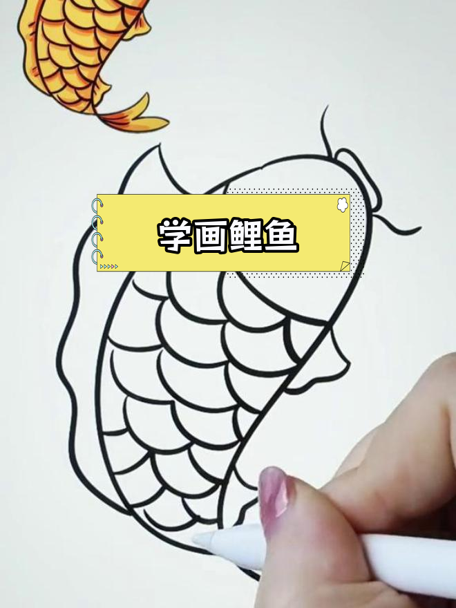 鲤鱼简笔画教程,轻松学会