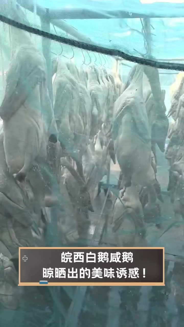 皖西白鹅咸鹅,晾晒出的美味诱惑!