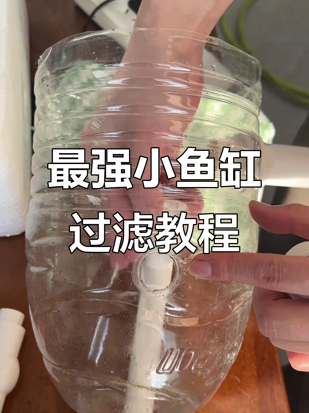 小鱼缸过滤系统全解析:水泵、沉淀舱与马桶设计