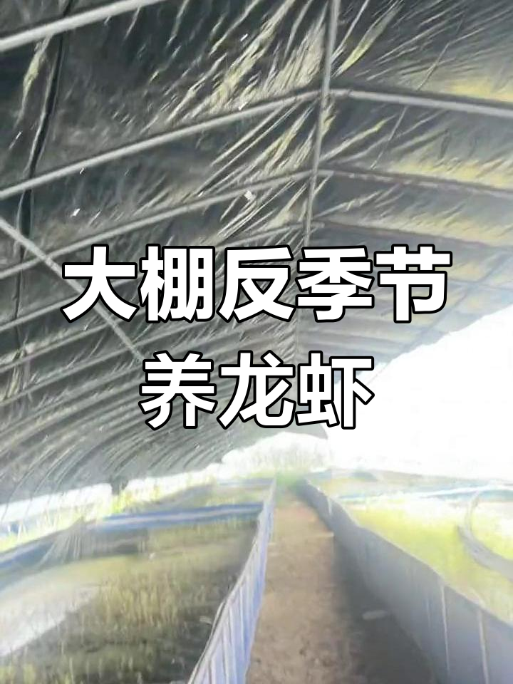夏季大棚小龙虾养殖技巧:如何调节温度避免高温影响