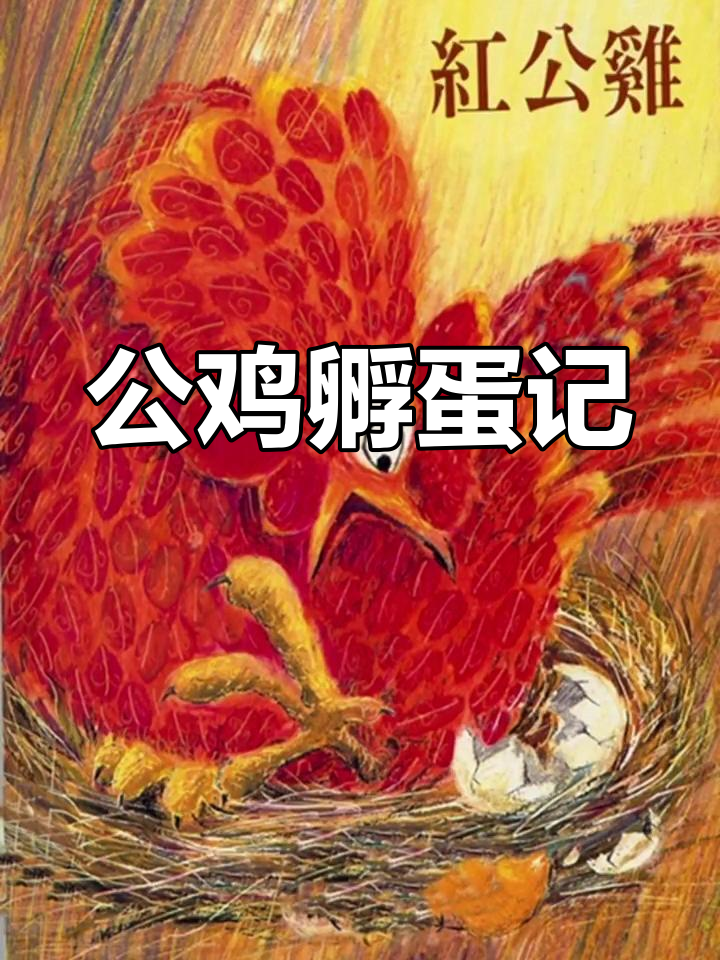 红公鸡孵蛋,母鸡们忙啥呢?