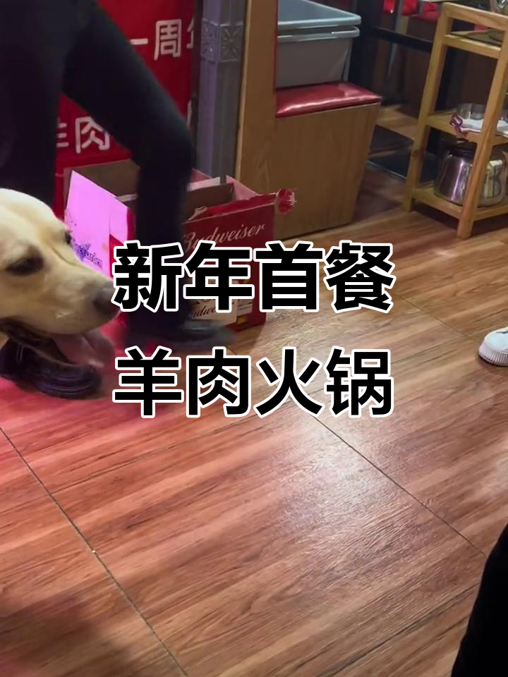 2023年哥哥带逗逗吃羊肉火锅,新年首餐