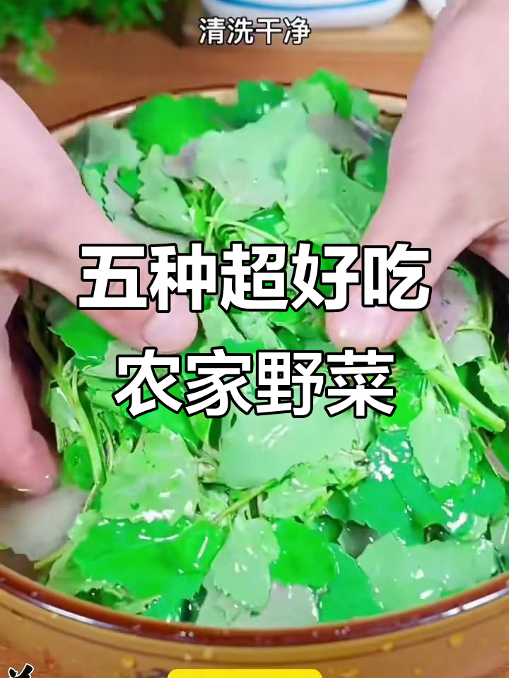 农村五大必吃野菜,最后一种你绝对没尝过