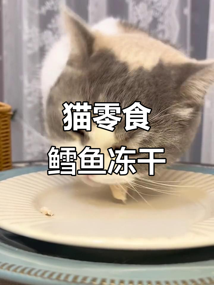 鳕鱼冻干,酥脆又美味,猫咪吃得停不下来