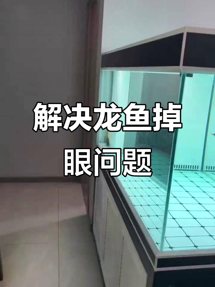 龙鱼掉眼问题解析与护理技巧